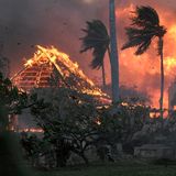 Ein Haus auf Hawaii brennt