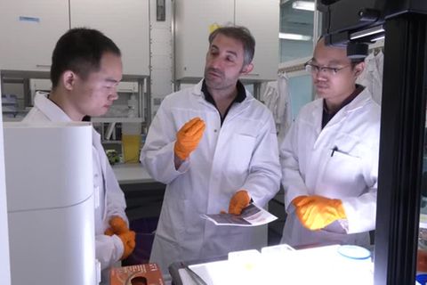 Video: Helmholtz-Institut stellt neuen Diagnoseansatz für die Hirnforschung vor