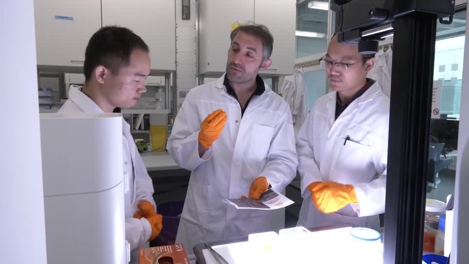 Video: Helmholtz-Institut stellt neuen Diagnoseansatz für die Hirnforschung vor