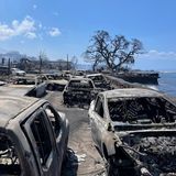 Ausgebrannte Autos am Ufer von Lahaina auf Hawaii