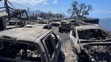 Ausgebrannte Autos am Ufer von Lahaina auf Hawaii