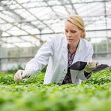 Berufswahl Pflanzentechnologe