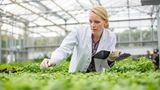 Berufswahl Pflanzentechnologe