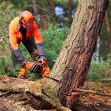 Berufswahl Forstwirt