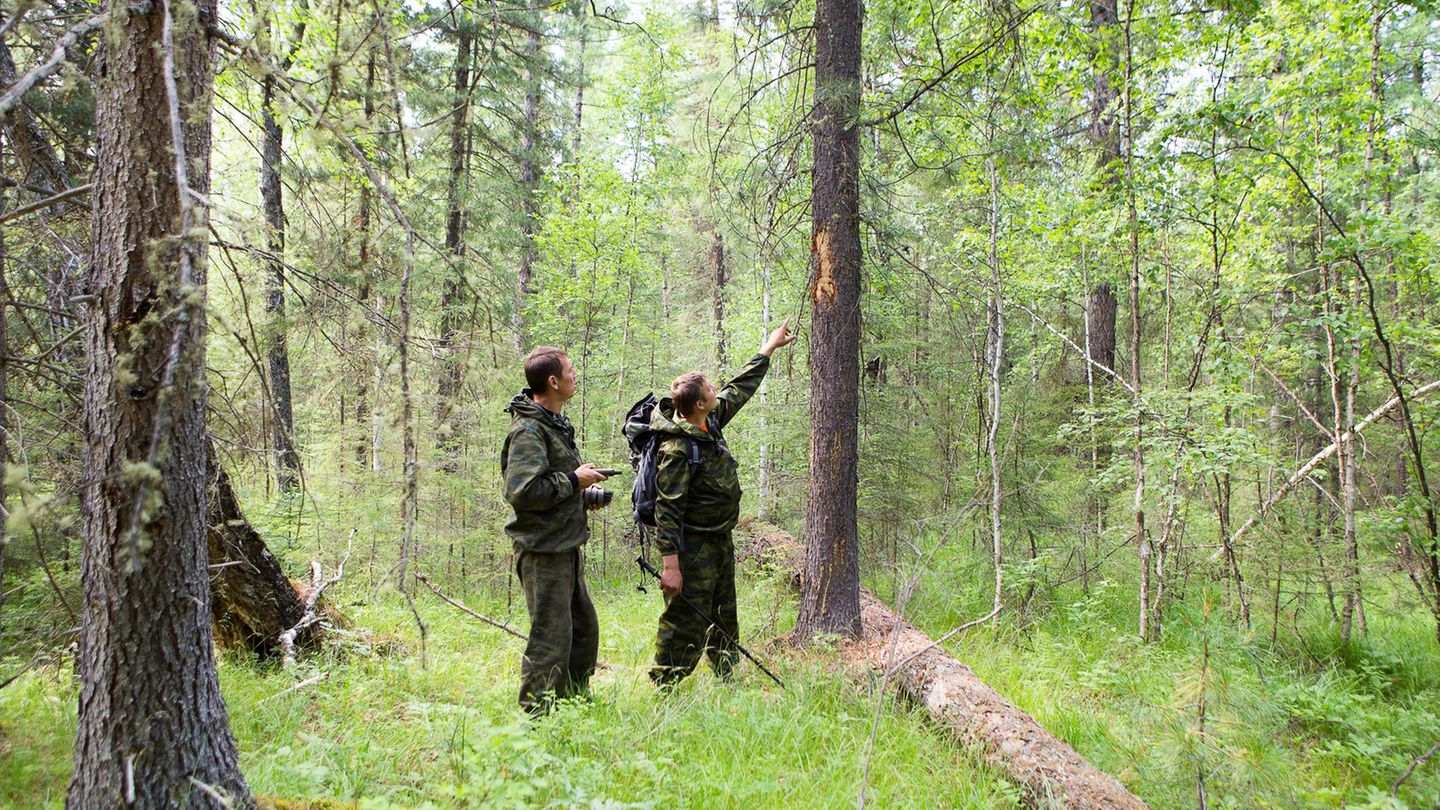 Berufswahl und Berufsausbildung Landschaftspfleger Berufswahl und Berufsausbildung Landschaftspfleger
