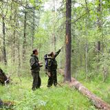 Berufswahl und Berufsausbildung Landschaftspfleger