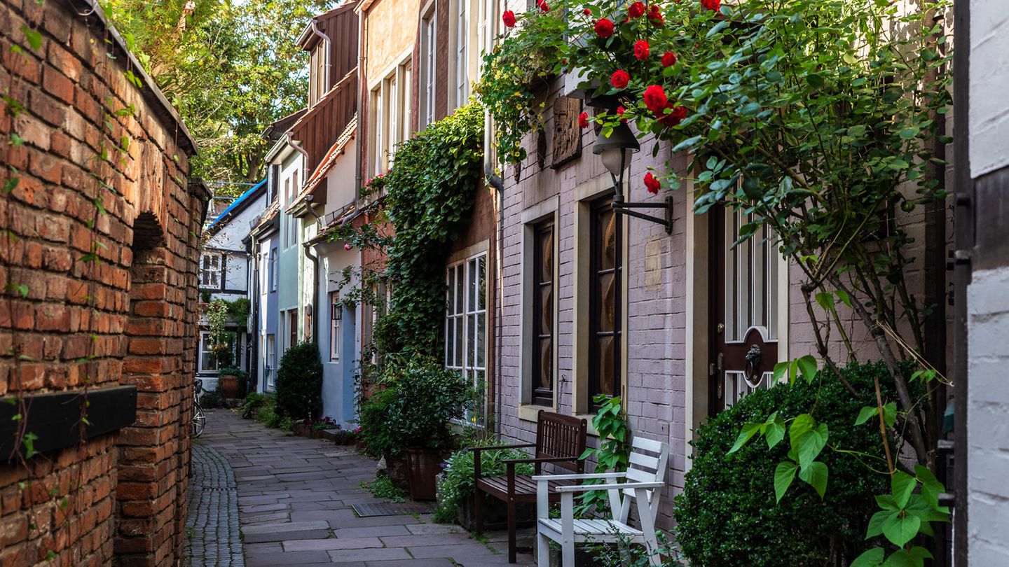 Bremen Schoorviertel Bremen Schoorviertel