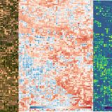 ConstellR: Wassersparen aus dem Weltraum  Es wird eng auf der Erde. Die Erdbevölkerung wächst weiterhin kaum gebremst und mit ihr der Bedarf an Nahrungsmitteln, zugleich sorgen Klimawandel für Wasserknappheit und die Versiegelung von Böden für immer weniger landwirtschaftliche Anbauflächen. Was da ist, muss folglich effizienter genutzt werden, insbesondere was den Wasserverbrauch betrifft. Die beiden Wissenschaftler Max Gulde und Marius Bierdel kamen auf die Idee, mit speziellen die Landwirtschaft mit einem Mini-Satelliten von der Größe eines Schuhkartons genaue Daten über den Zustand der Böden und Pflanzen zu liefern. Mit Hilfe seiner Sensoren kann der Flugkörper erkennen, wann genau die Pflanzen wegen zum Beispiel Wassermangel, Überdünung oder Pilzbefall unter Stress stehen. Die Landwirte können dann zielgenau handeln und nicht mehr nach dem Gießkannenprinzip. Die Kalkulation der beiden Gründer: Ab 2026 ließen sich mit Hilfe der Weltraumbeobachtung jährlich 180 Milliarden Tonnen Wasser und 94 Million Tonnen CO2 einsparen, während sich der globale Ernteertrag ohne höheren Wasserverbrauch um bis zu vier Prozent erhöhen könnte. Dies entspräche Nahrung für über 350 Millionen Menschen.