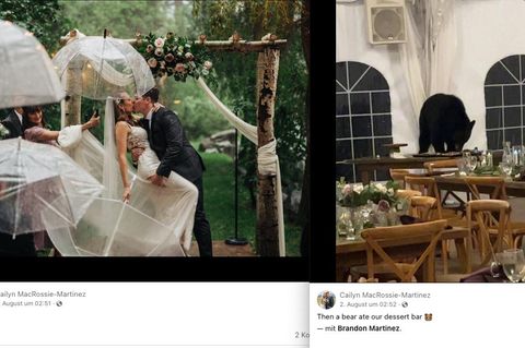 Das Paar ließ sich von Bär und Regen die Hochzeit nicht versauen