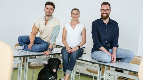 Drei junge Lehrer sitzen auf einem Pult, zu Füßen der Schulhund, ein schwarzer Labrador