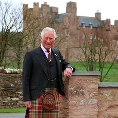 King Charles - König des Karos