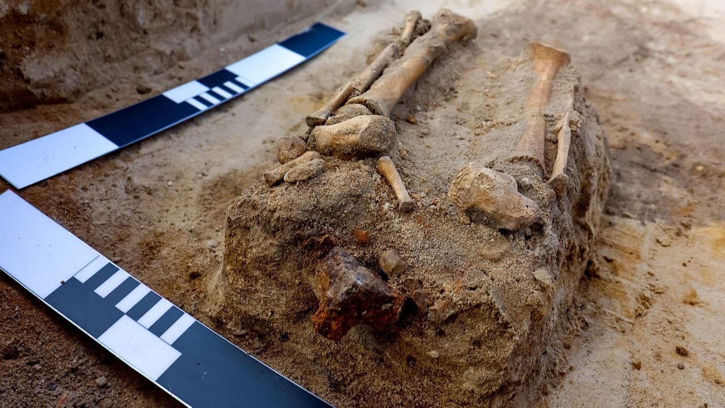 Na polskim cmentarzu odkryto „dziecko wampira” z zamkiem na kostce
