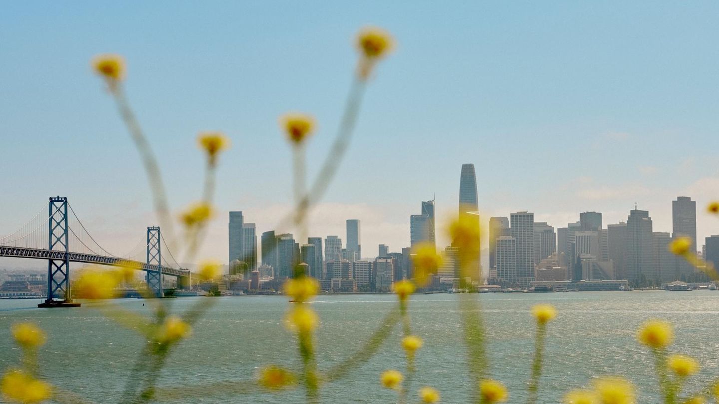 San Francisco is in crisis – can the city pull itself together again?