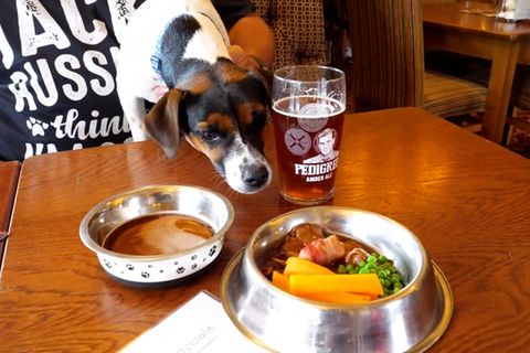 Großbritanniens bester Hundepub: alles was das Hundeherz begehrt