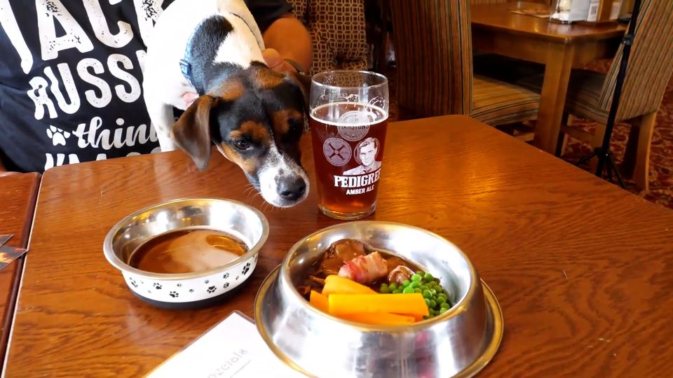 Großbritanniens bester Hundepub: alles was das Hundeherz begehrt