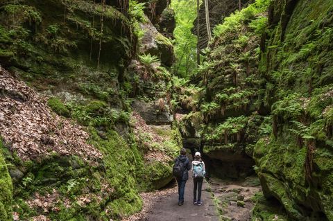 Wanderung Sächsische Schweiz