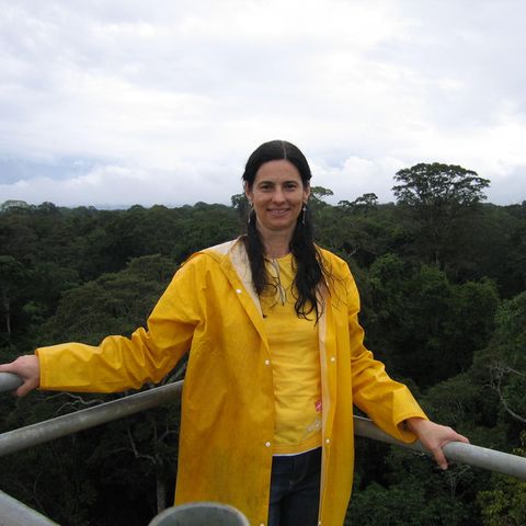 Luciana Gatti vor ihrem Hauptforschungsgebiet – dem Amazonas-Regenwald