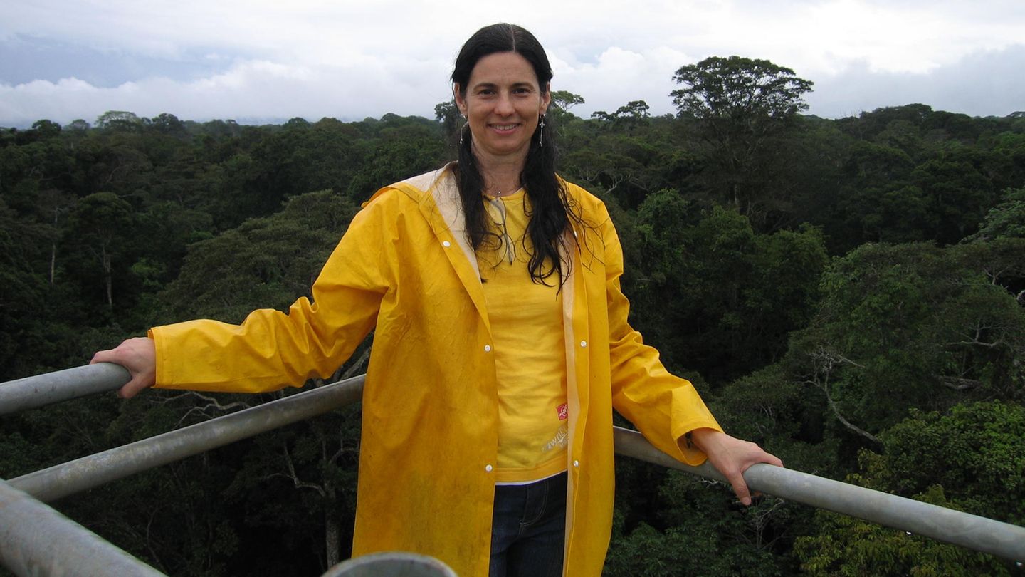 Rainforest itself exhales greenhouse gases: Luciana Gatti found out
