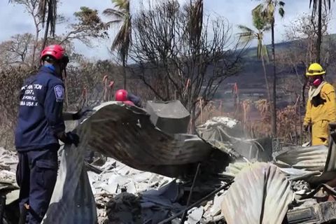 Video: Zahl der Toten auf Maui steigt auf 110