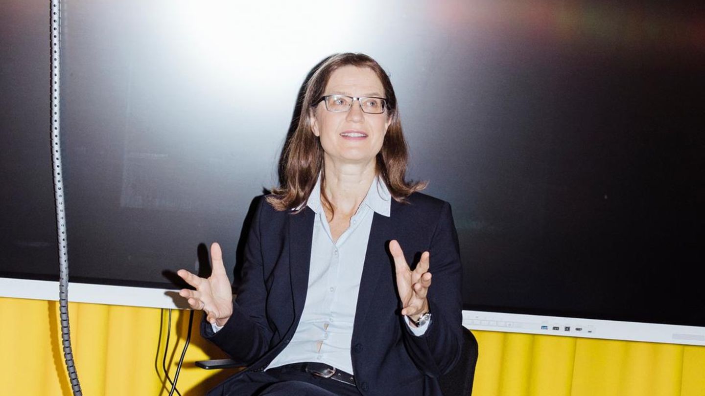 Energy transition: Ifo expert calls for more speed in the procurement of raw materials