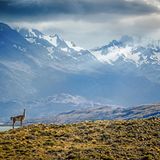 Mit dem Motorrad in den Anden