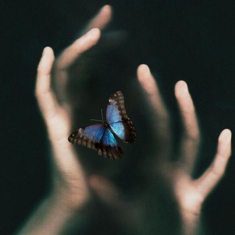 Zwei Hände, die einen Schmetterling umfassen