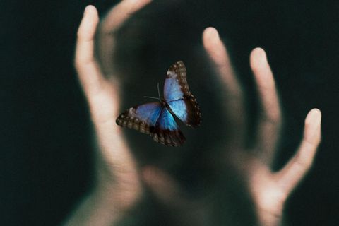 Zwei Hände, die einen Schmetterling umfassen