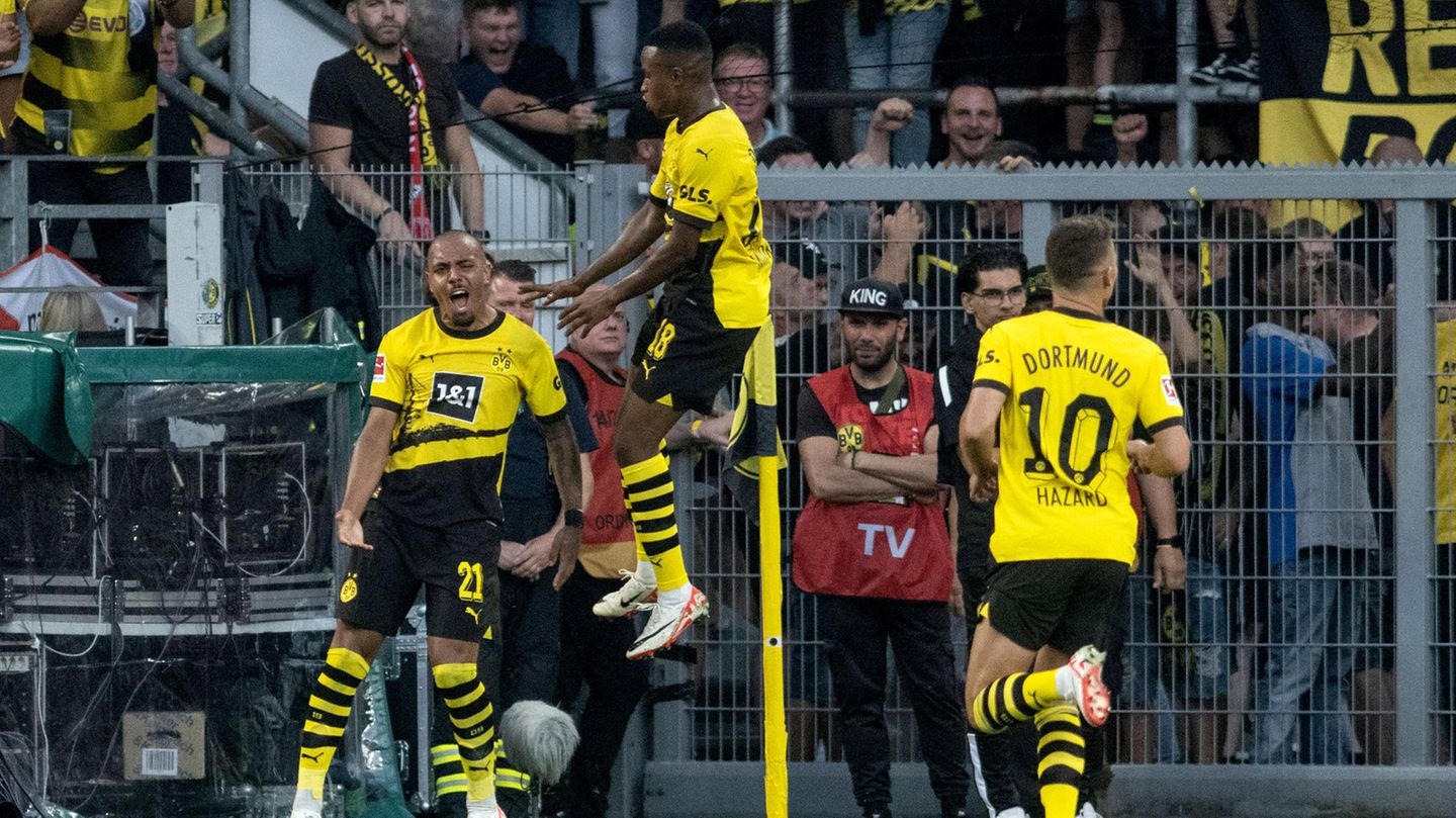 Bundesliga: Bayer wins the top game, BVB wins happily