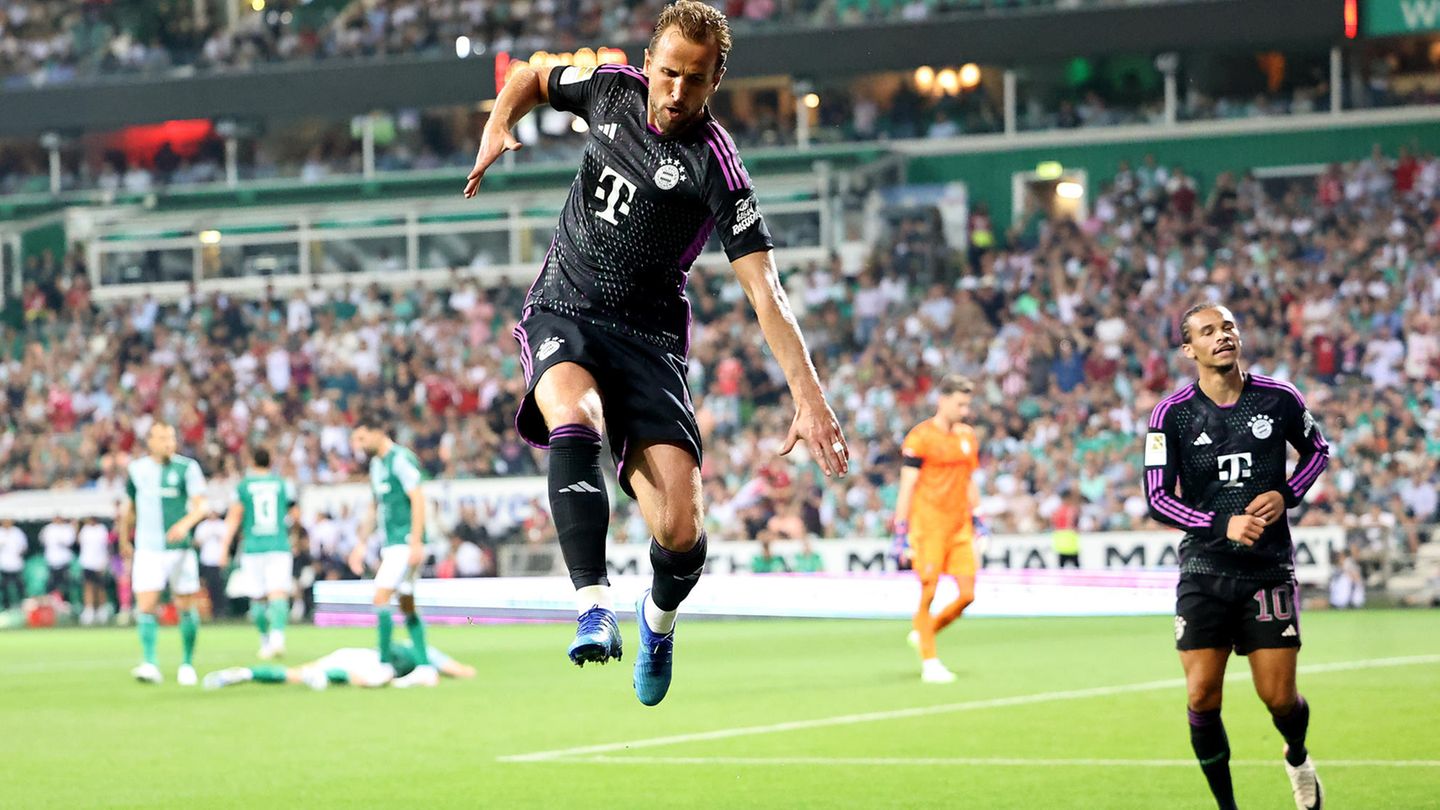 Bundesliga Harry Kane