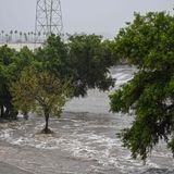 Der Los Angeles River ist über die Ufer getreten.