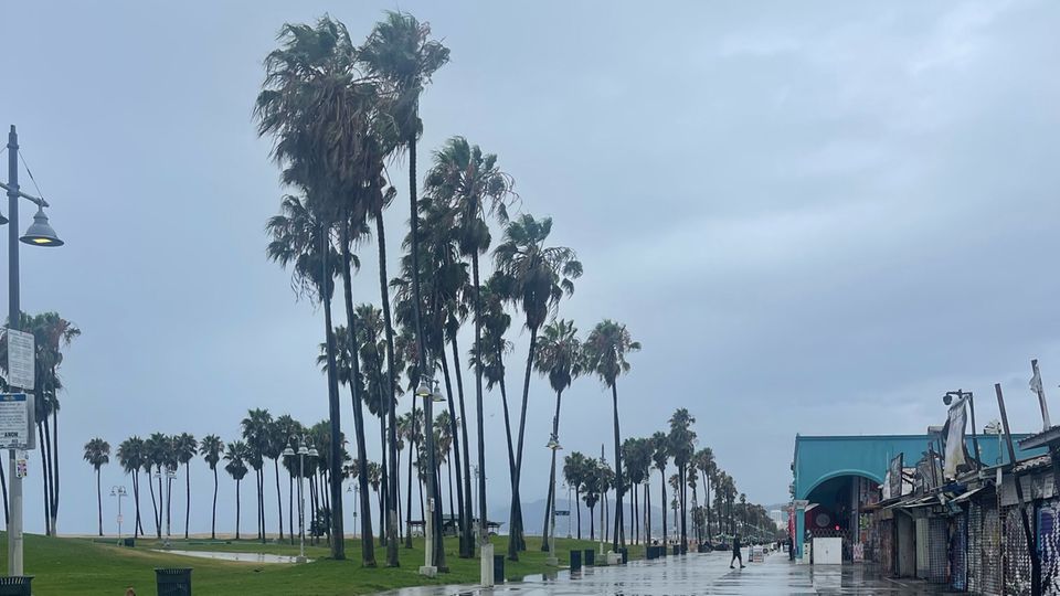 Hilary Sturm Regen Los Angeles Die Palmen am Venice Beach Boardwalk in Los Angeles stehen während Sturm Hilary im Regen