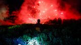 Rotes Feuerwerk über den Pflanzen