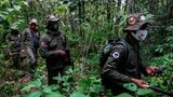 Männer mit Waffen durchkreutzen den Wald