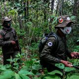 Männer mit Waffen durchkreutzen den Wald