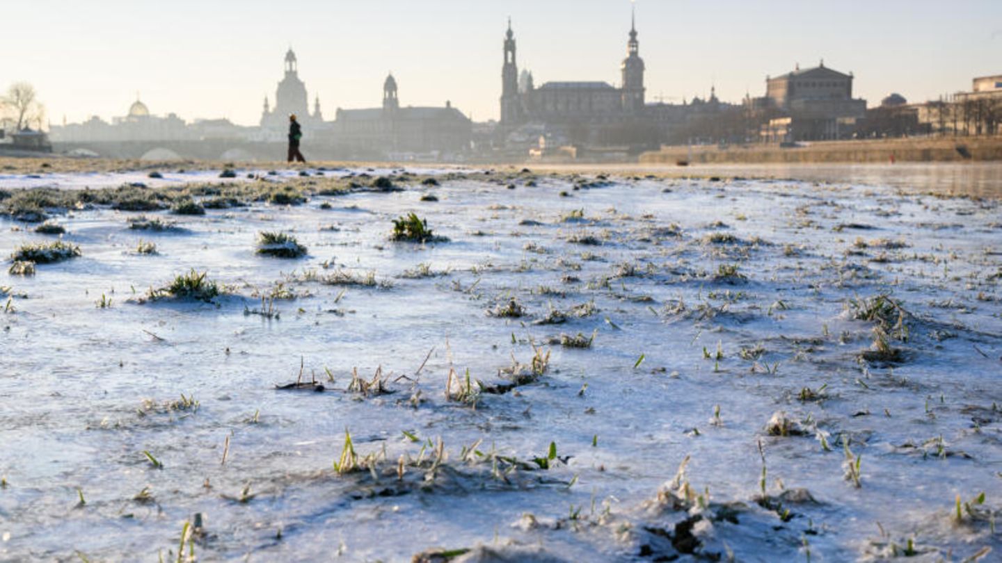 Eistage Vereiste Elbwiesen am Morgen vor der Dresdner Altstadt