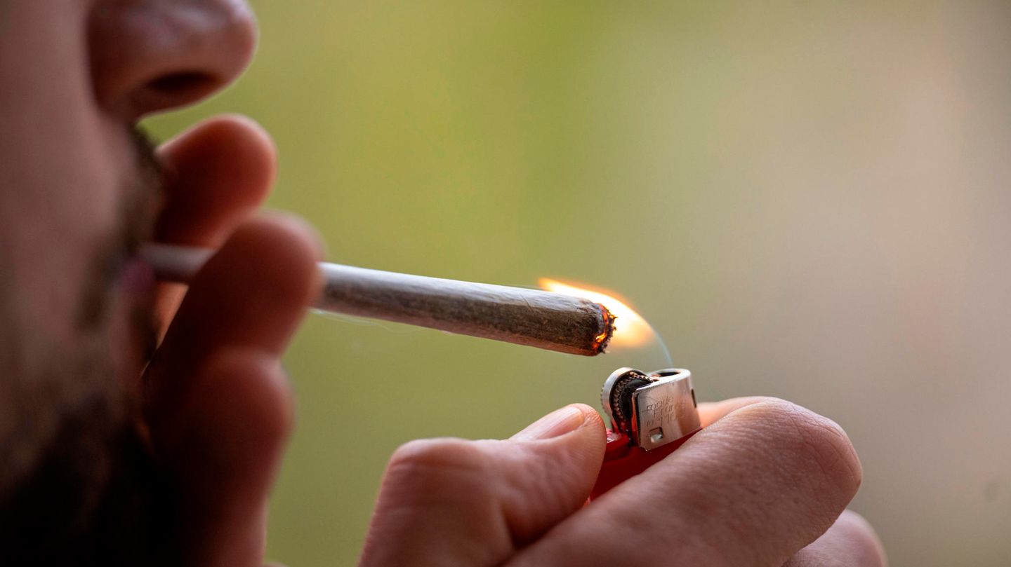 Cannabis legalization: Green light for traffic light legal text