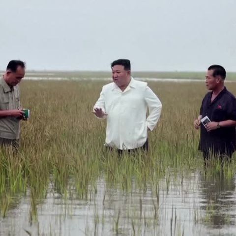 Video: Nordkorea: Kim macht Ministerpräsidenten für Dammbruch verantwortlich