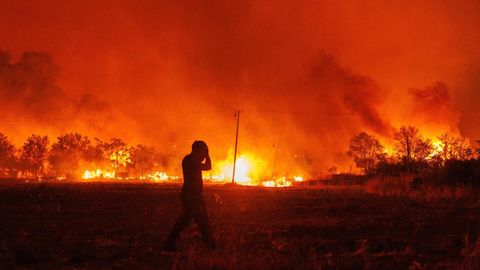 Seit vielen Wochen hat Griechenland immer wieder mit schweren Waldbränden zu kämpfen