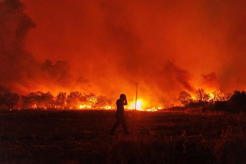 Seit vielen Wochen hat Griechenland immer wieder mit schweren Waldbränden zu kämpfen