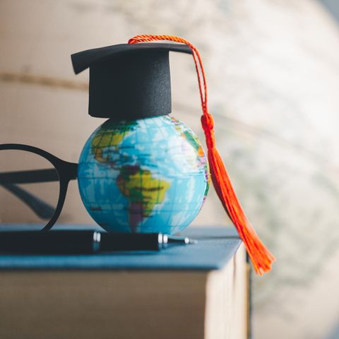 Kuriose Studiengänge