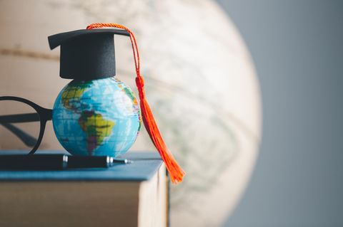 Kuriose Studiengänge