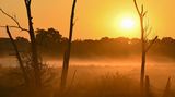 Sonnenaufgang über den Wiesen nahe dem deutsch-polnischen Grenzfluss Oder