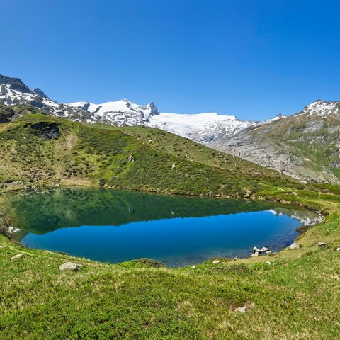 Grüne Landschaft mit einem Bergsee am Schlatenkees-Gletscher in Tirol