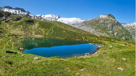 Grüne Landschaft mit einem Bergsee am Schlatenkees-Gletscher in Tirol