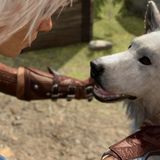 "Baldur's Gate 3" Lager