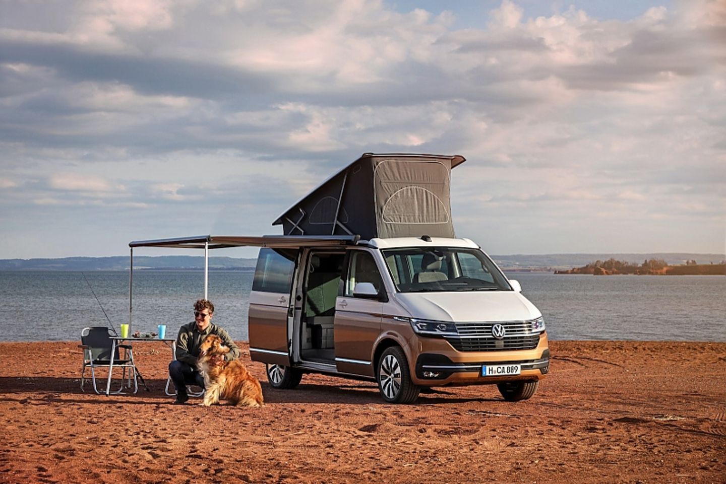 VW T6 California