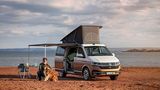 VW T6 California