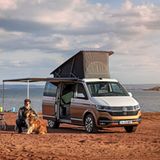 VW T6 California