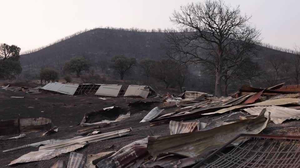 Video: Untersuchung von Waldbrand-Leichen in Griechenland hat begonnen