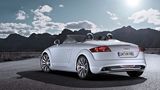 Audi TT Clubsport Quattro (2008).jpg